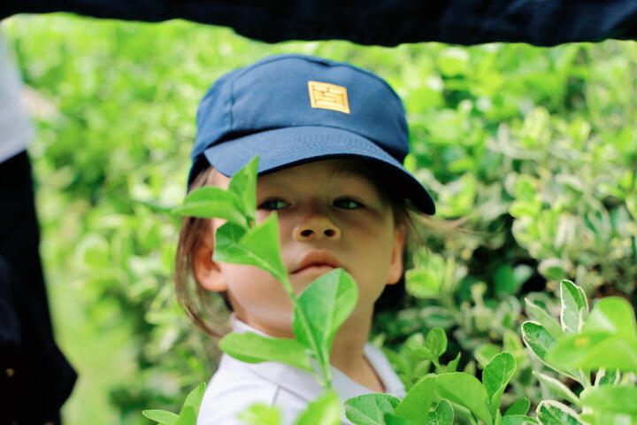 欢迎访问惠灵顿教育集团旗下学校-南通惠立学校官网，了解学校最新信息。